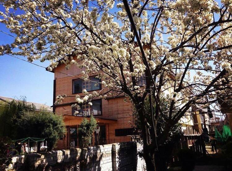 Royal Star Inn Srīnagar 외부 사진